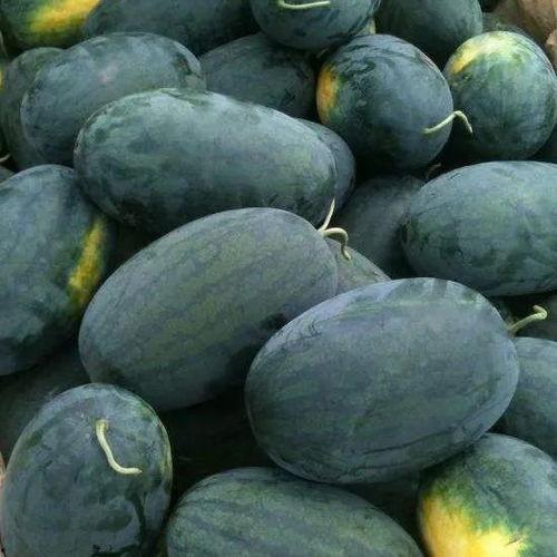 52吃瓜黑料论坛,揭秘娱乐圈幕后真相