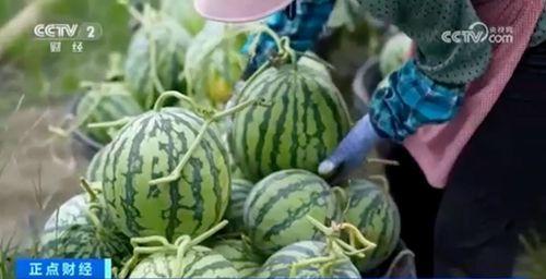 吃瓜黑料每日大赛聚集地,网络舆论场中的焦点追踪