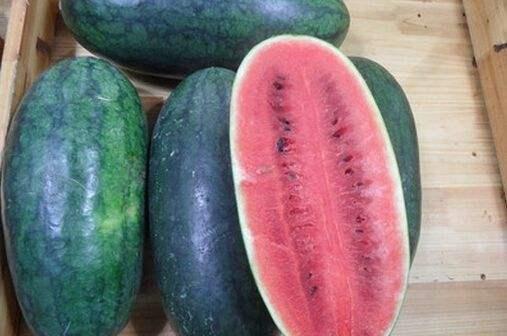 欣欣有点胖乎乎吃瓜黑料,欣欣的黑料揭秘